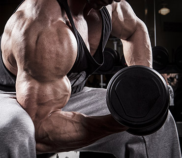 triceps_article
